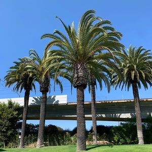 Meet your Posher, Jaleesa